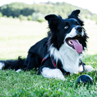 FundoFotoCarossel-Border2