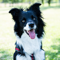 FundoFotoCarossel-Border5