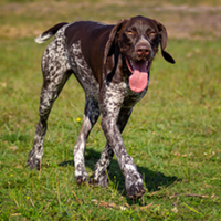 FundoFotoCarossel-Braco1
