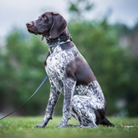 FundoFotoCarossel-Braco2