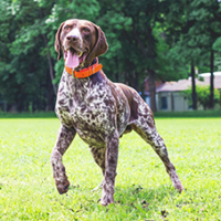 FundoFotoCarossel-Braco3