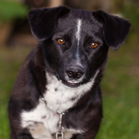 FundoFotoCarossel-Caramelo6