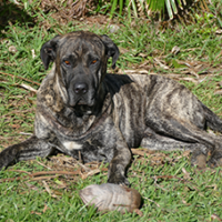 FundoFotoCarossel-Fila2