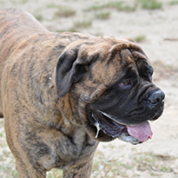 FundoFotoCarossel-Fila6