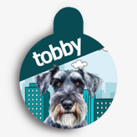 _Schnauzer-FotoCarosselTag3